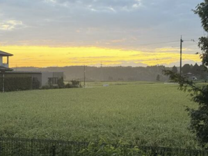 砺波市福岡、土地の外観画像です