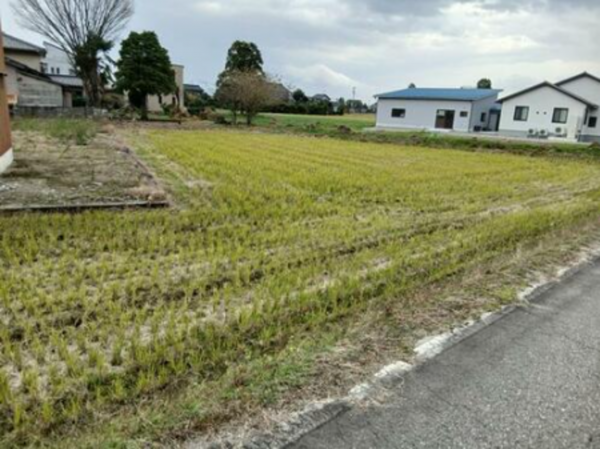 南砺市岩武新、土地の外観画像です