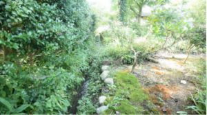 砺波市石丸、土地のその他画像です