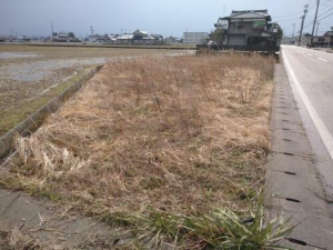 砺波市林、土地の前面道路を含む現地写真画像です