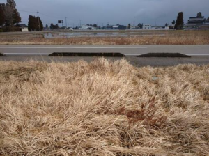 砺波市林、土地の前面道路を含む現地写真画像です