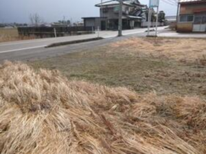 砺波市林、土地の前面道路を含む現地写真画像です