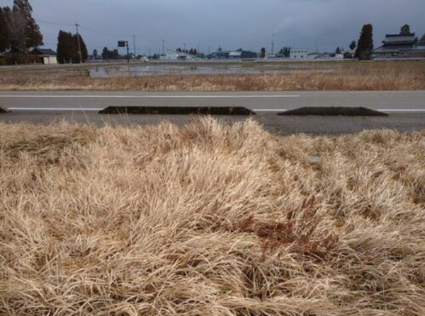 砺波市林、土地の前面道路を含む現地写真画像です