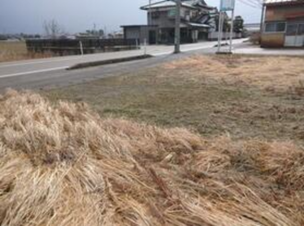 砺波市林、土地の前面道路を含む現地写真画像です