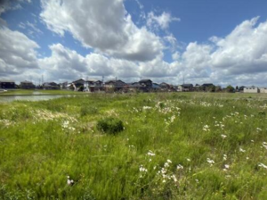 砺波市千代、土地の外観画像です