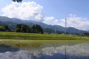 南砺市西明、中古一戸建てのその他画像です