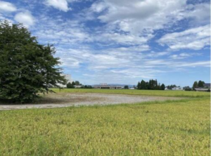 砺波市五郎丸、土地の外観画像です