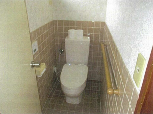 南砺市是安、中古一戸建てのトイレ画像です