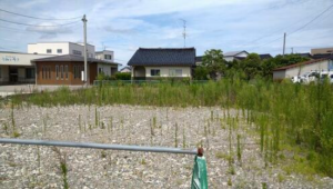 砺波市新富町、土地の外観画像です