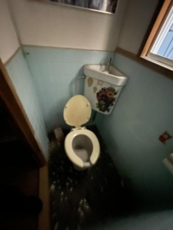 神戸市垂水区東垂水、中古一戸建てのトイレ画像です