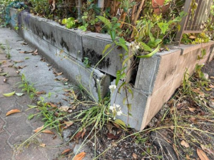 神戸市垂水区仲田、中古一戸建ての外観画像です