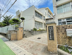 神戸市垂水区千鳥が丘、マンションの小学校画像です