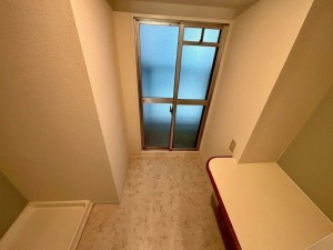 神戸市垂水区青山台、マンションの洗面画像です