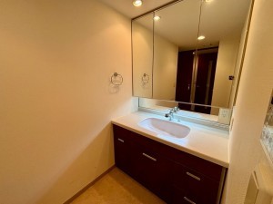 神戸市垂水区旭が丘、マンションの洗面画像です