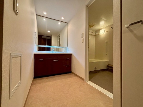 神戸市垂水区旭が丘、マンションの洗面画像です