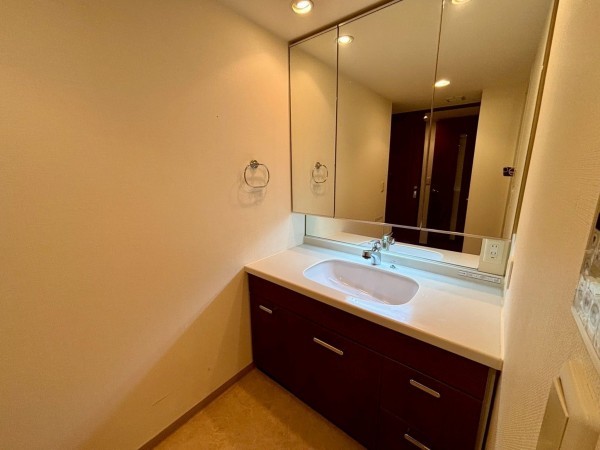 神戸市垂水区旭が丘、マンションの洗面画像です