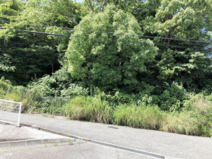神戸市垂水区千鳥が丘、土地の前面道路を含む現地写真画像です