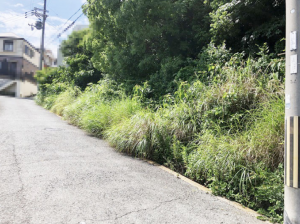 神戸市垂水区千鳥が丘、土地の前面道路を含む現地写真画像です