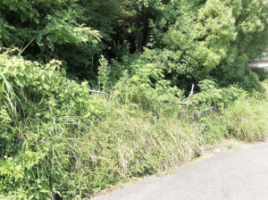 神戸市垂水区千鳥が丘、土地の外観画像です