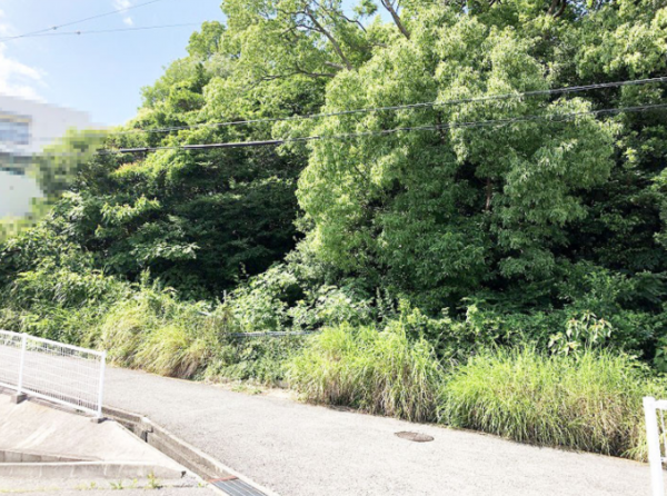 神戸市垂水区千鳥が丘、土地の前面道路を含む現地写真画像です