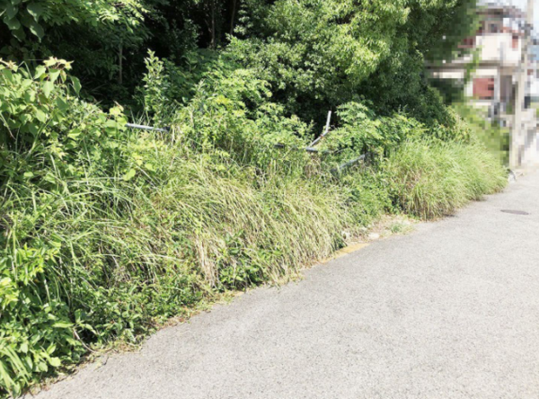神戸市垂水区千鳥が丘、土地の前面道路を含む現地写真画像です