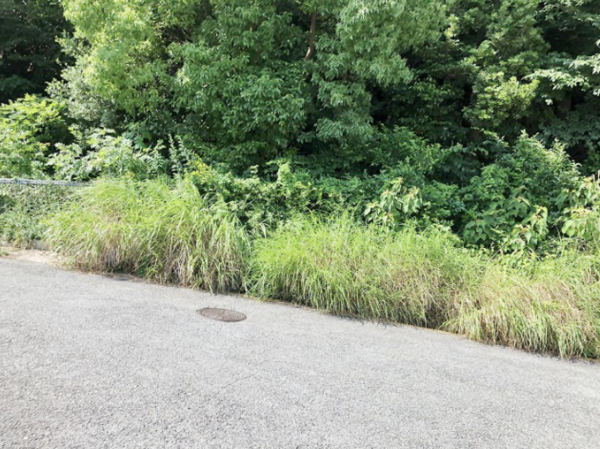 神戸市垂水区千鳥が丘、土地の前面道路を含む現地写真画像です