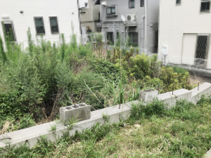 神戸市垂水区高丸、土地の外観画像です