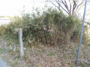 神戸市垂水区東垂水町、土地のその他画像です