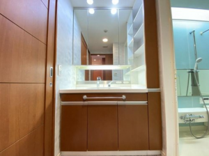 神戸市垂水区霞ケ丘、マンションの洗面画像です