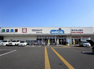 神戸市垂水区星陵台、新築一戸建てのドラッグストア画像です