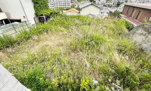 神戸市垂水区霞ケ丘、土地の外観画像です