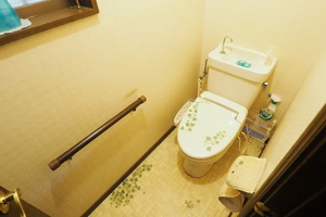 神戸市垂水区千鳥が丘、中古一戸建てのトイレ画像です