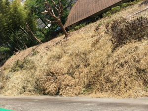 神戸市垂水区塩屋町、土地の画像です
