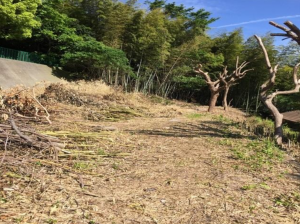 神戸市垂水区塩屋町、土地の画像です