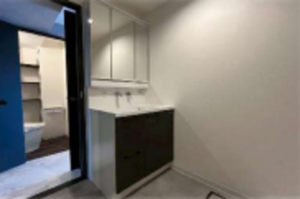 神戸市垂水区西舞子、マンションの洗面画像です