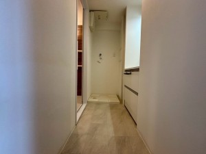神戸市垂水区海岸通、マンションの洗面画像です