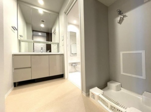 神戸市垂水区海岸通、マンションの洗面画像です