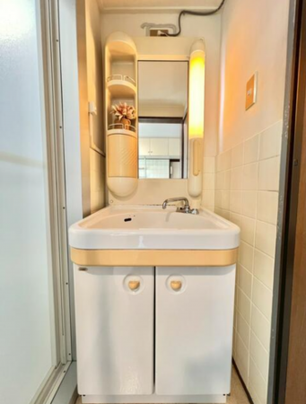 神戸市垂水区天ノ下町、マンションの洗面画像です