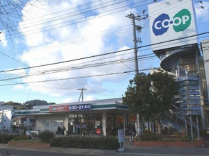 神戸市垂水区山手、新築一戸建てのスーパー画像です