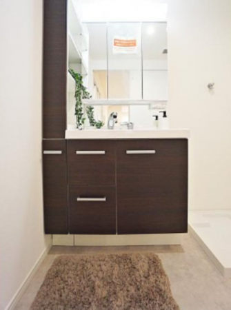 神戸市垂水区星陵台、新築一戸建ての洗面画像です