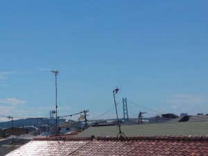 神戸市垂水区東垂水、収益物件/マンションの周辺画像画像です