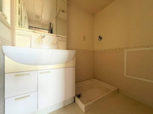 神戸市垂水区王居殿、マンションの洗面画像です