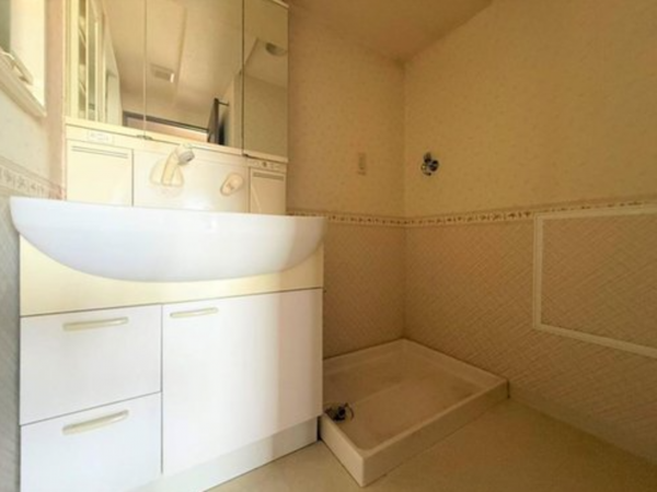 神戸市垂水区王居殿、マンションの洗面画像です