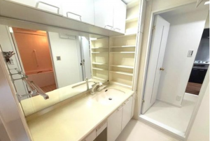 神戸市垂水区高丸、マンションの洗面画像です