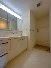 神戸市垂水区青山台、マンションの洗面画像です