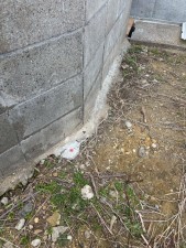 神戸市垂水区歌敷山、土地の画像です