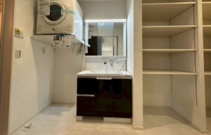 神戸市垂水区塩屋町、新築一戸建ての洗面画像です