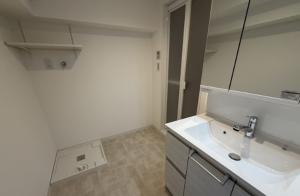 神戸市垂水区五色山、マンションの洗面画像です