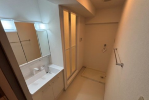 神戸市垂水区千代が丘、マンションの洗面画像です