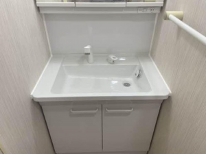 神戸市垂水区西舞子、収益物件/マンションの洗面画像です